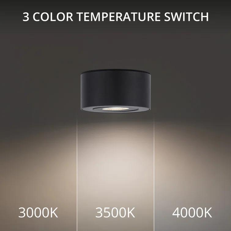 Peek LED Flush Mount