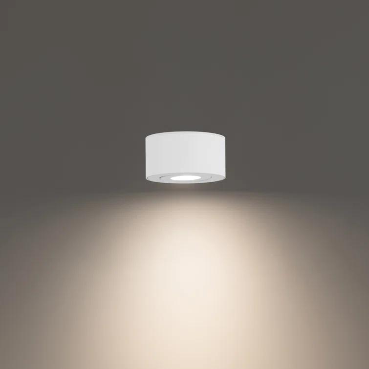 Peek LED Flush Mount