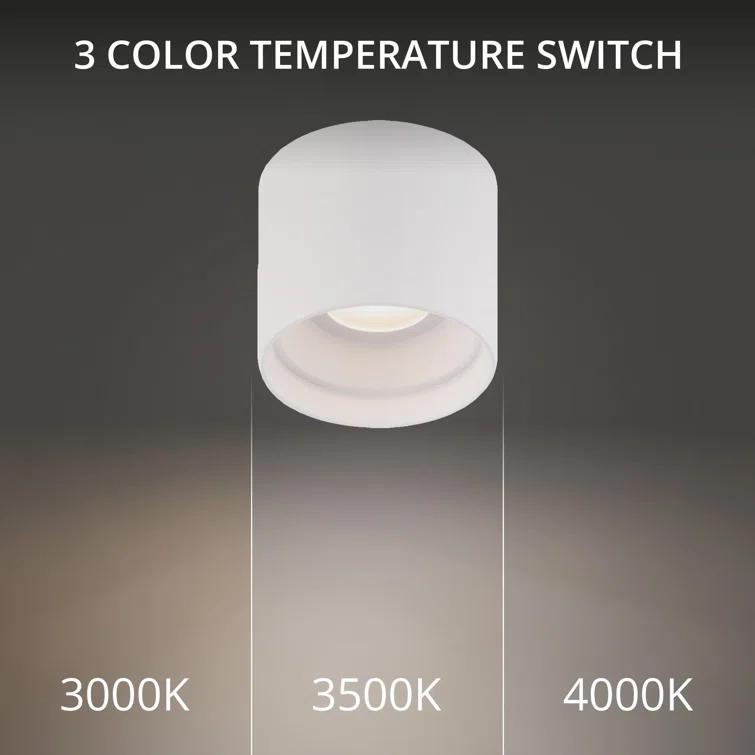 Downtown Glass LED Flush Mount