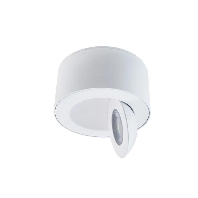 Peek LED Flush Mount