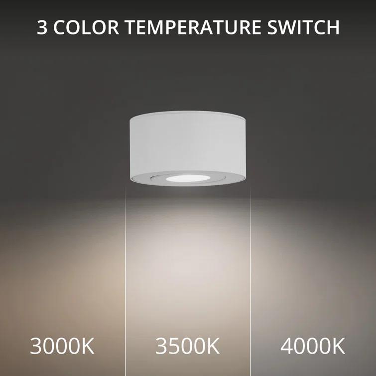 Peek LED Flush Mount