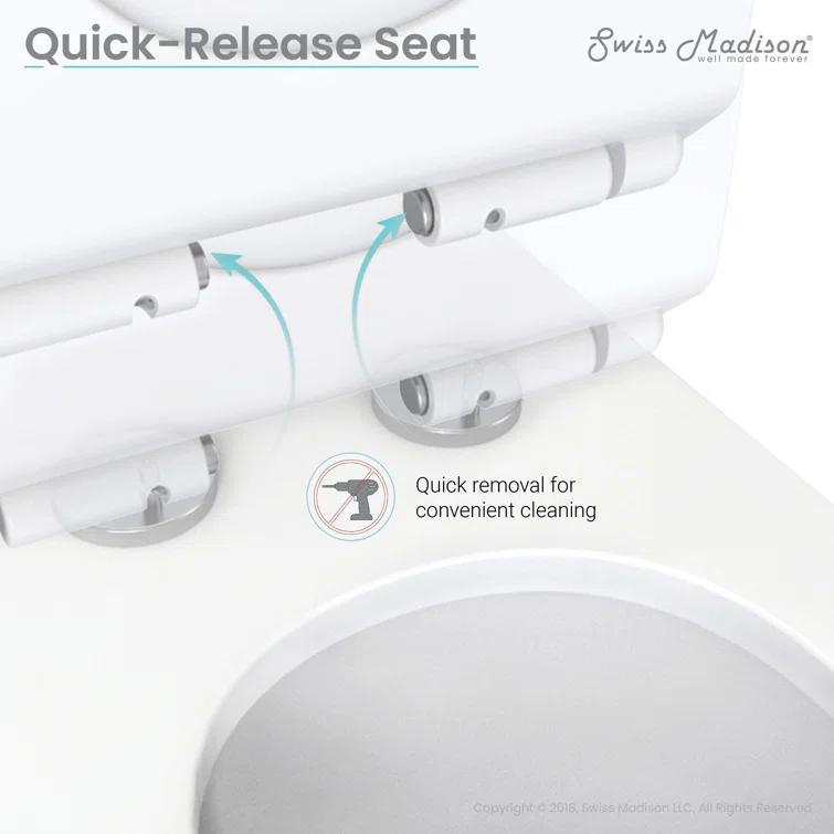 St. Tropez Dual Flush Elongated One-Piece Toilet (Seat Included)