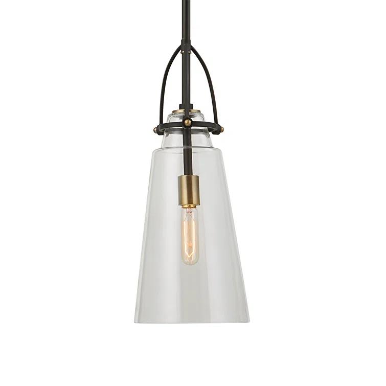 Single Light Glass Dimmable Pendant