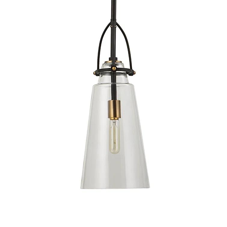 Single Light Glass Dimmable Pendant