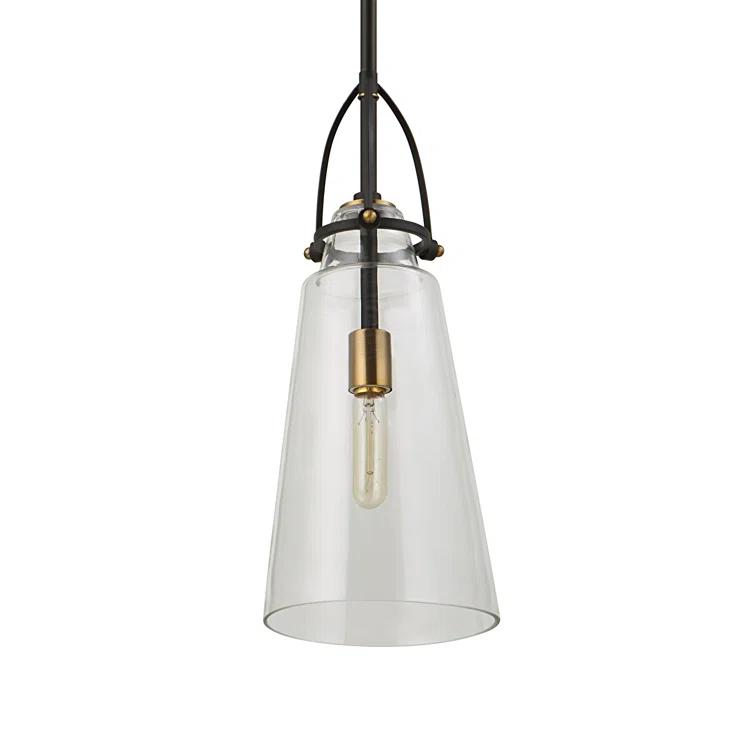 Single Light Glass Dimmable Pendant