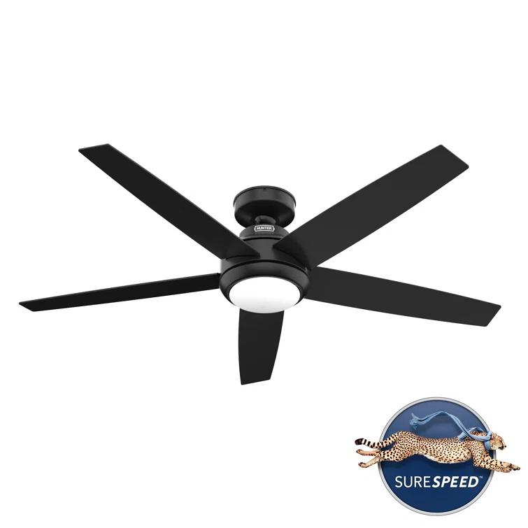 52" Zayden 5 - Blade Ceiling Fan With Lights and Remote