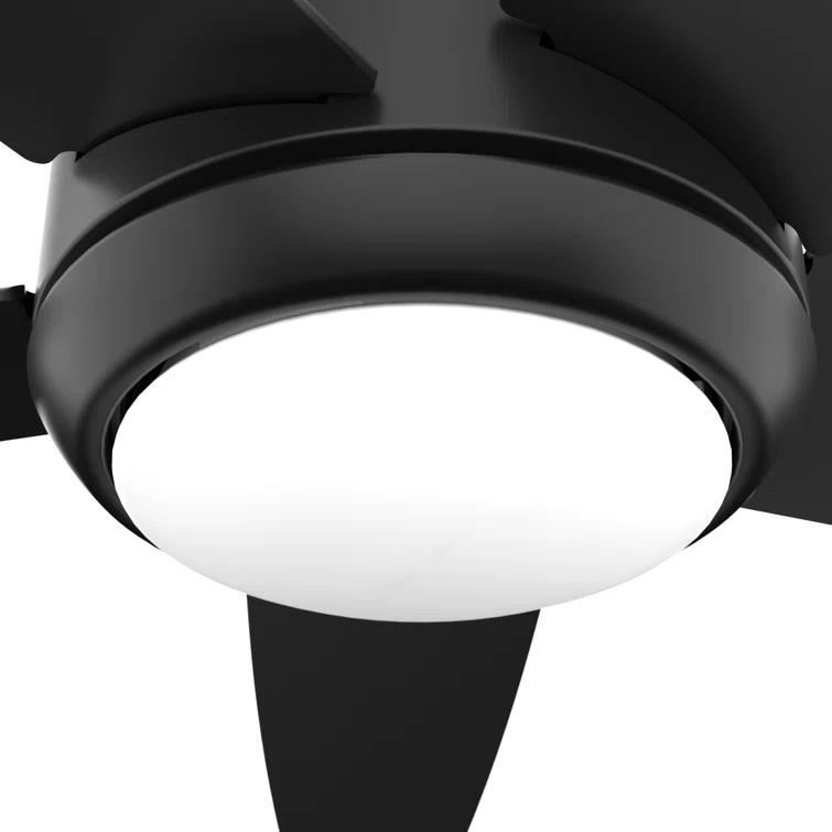52" Zayden 5 - Blade Ceiling Fan With Lights and Remote