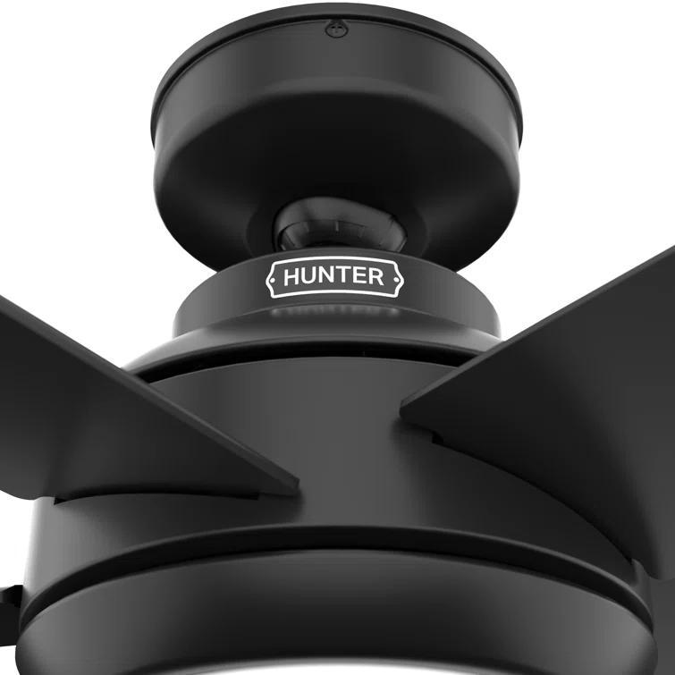 52" Zayden 5 - Blade Ceiling Fan With Lights and Remote