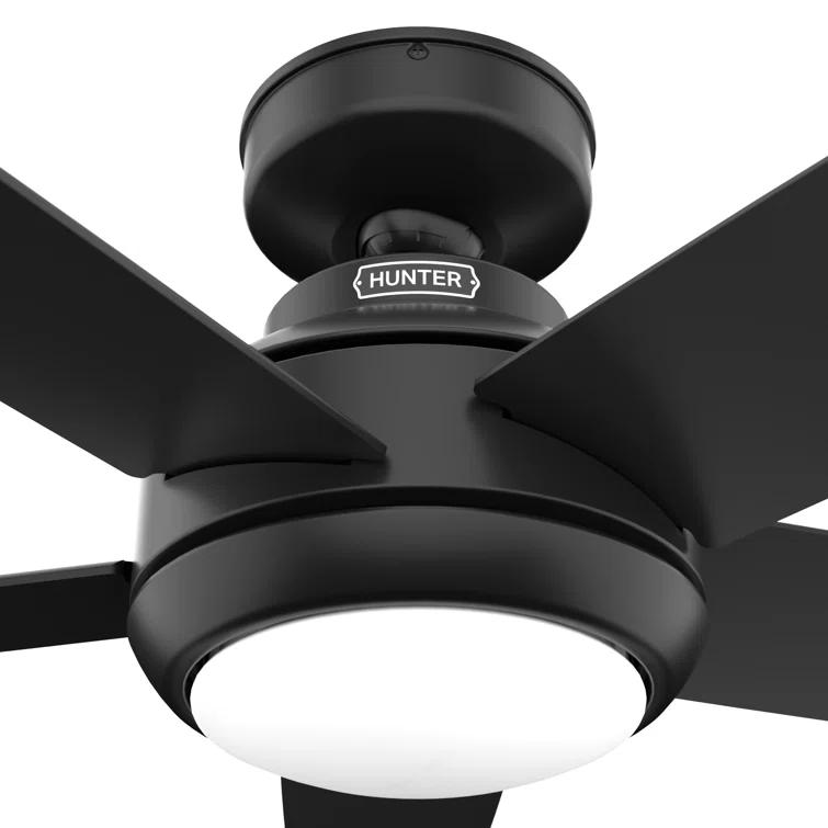 52" Zayden 5 - Blade Ceiling Fan With Lights and Remote