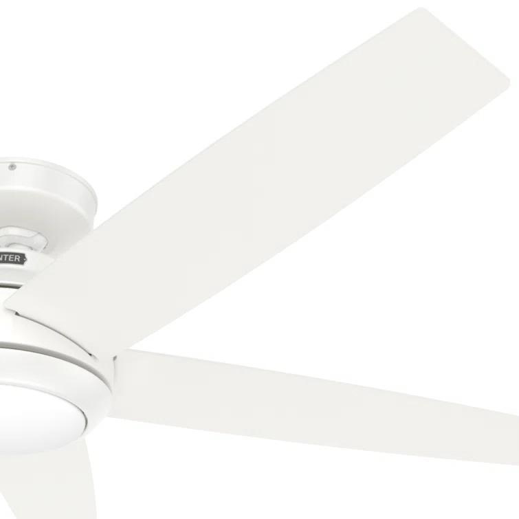 52" Zayden 5 - Blade Ceiling Fan With Lights and Remote