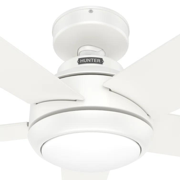 52" Zayden 5 - Blade Ceiling Fan With Lights and Remote