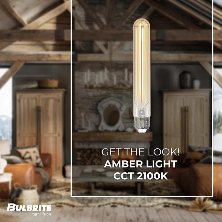 60 Watt Equivalent T9 E26/Medium (Standard) Dimmable 2100K LED Bulb