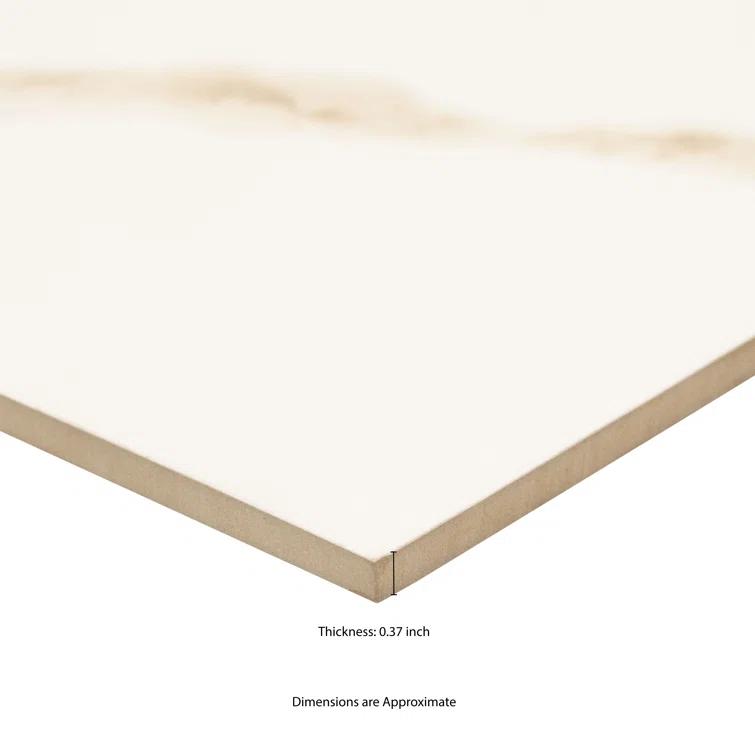 Ackland Eden 24" x 24" Matte Porcelain Stone Look Floor & Wall Tile