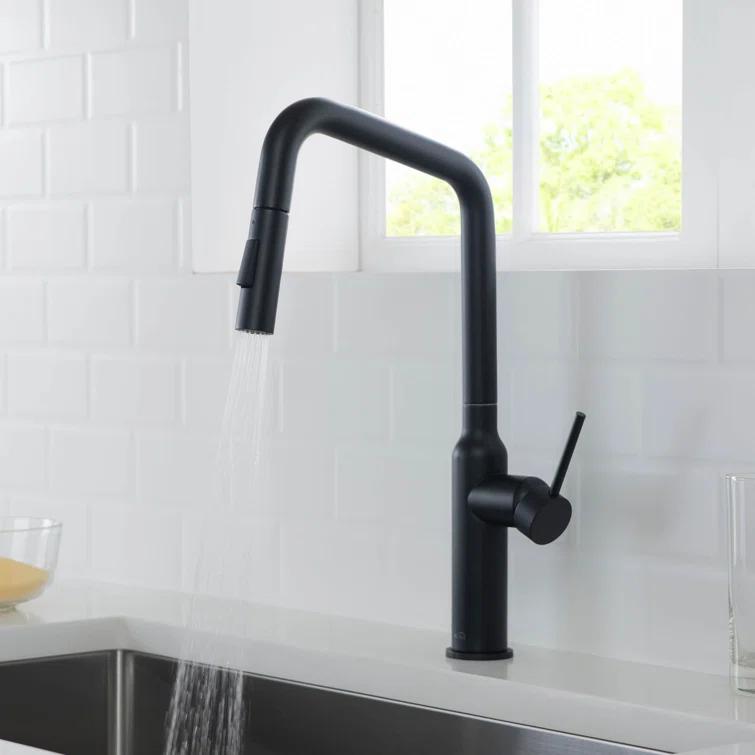 Macon Pull Down Single Handle Kitchen Faucet with Accessories