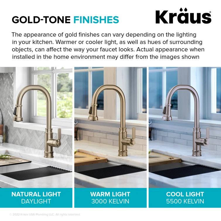 Allyn Transitional Industrial Pull-Down Single Handle Kitchen Faucet