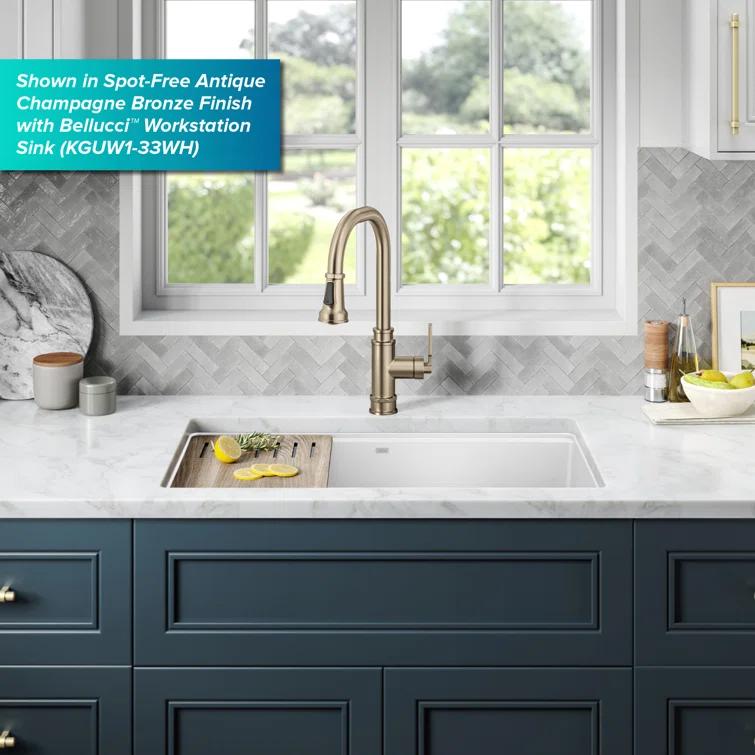 Allyn Transitional Industrial Pull-Down Single Handle Kitchen Faucet