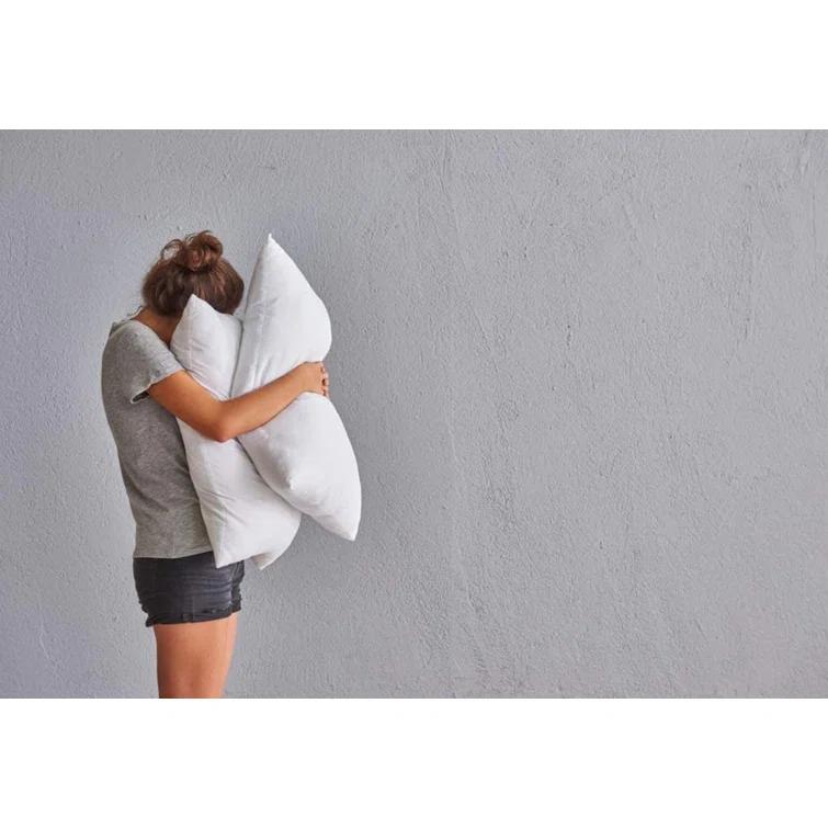 East Coast Bedding Cozy Dream Firm Goose Feather Down Pillow Support Queen Size Set of 2