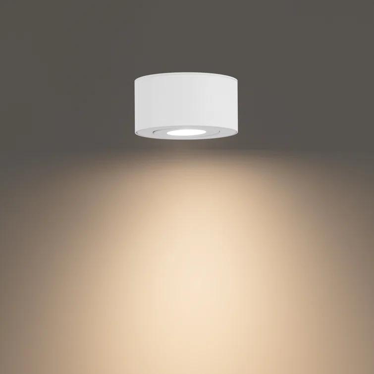Peek LED Flush Mount