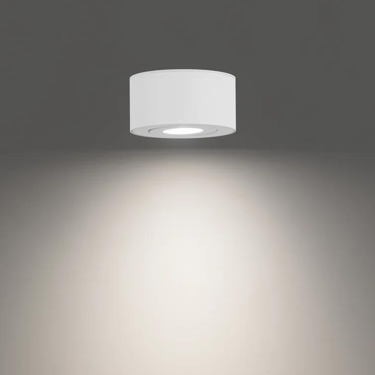 Peek LED Flush Mount