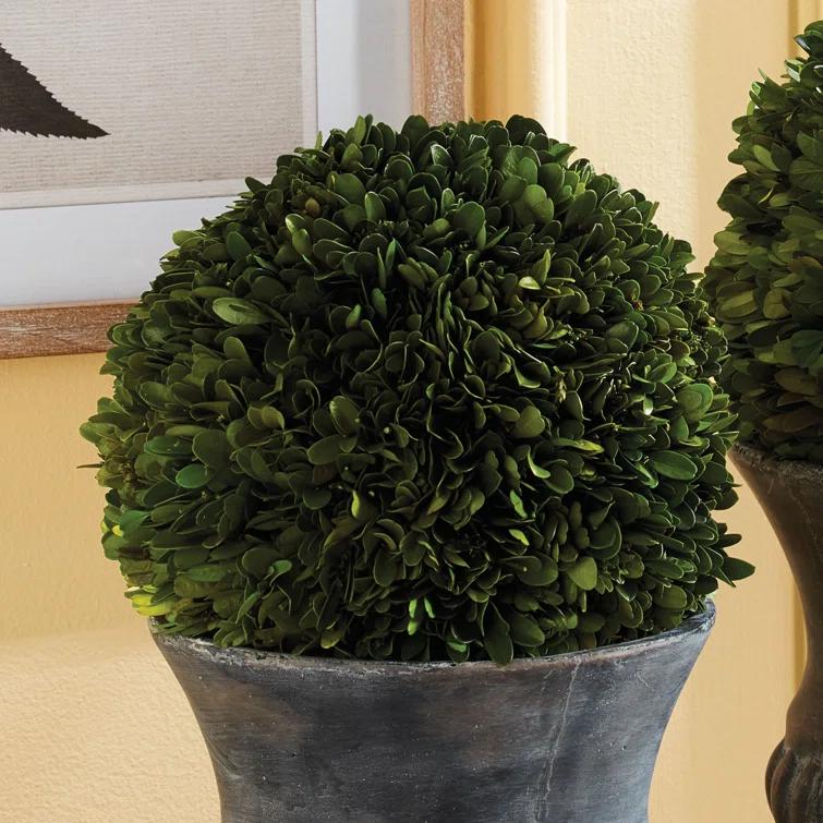 Plum & Post Boxwood Ball Faux (Fake) 8"