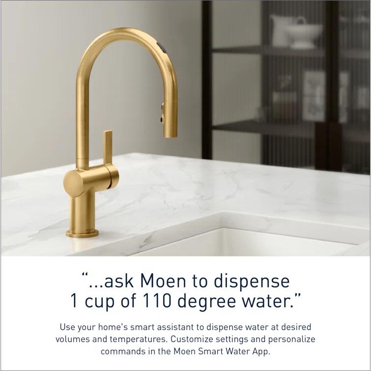 Moen Cia Pull Down Single Handle Kitchen Faucet