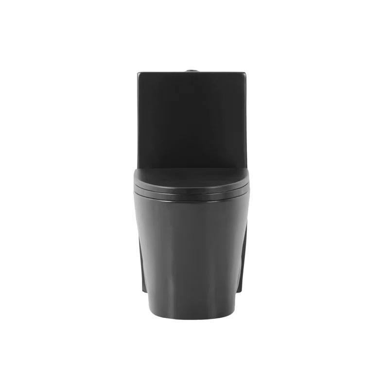Dual-Flush Elongated One-Piece Toilet with High Efficiency Flush