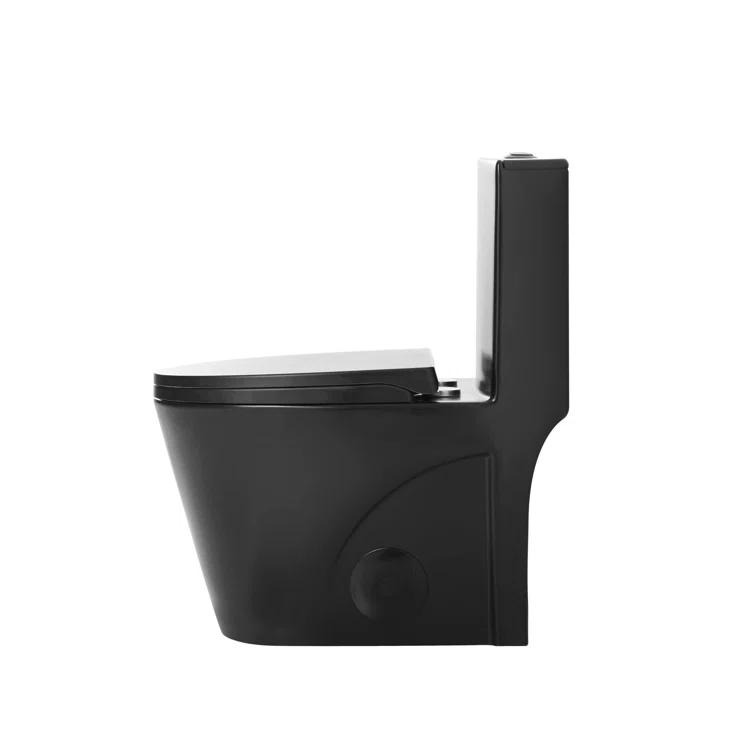 Dual-Flush Elongated One-Piece Toilet with High Efficiency Flush