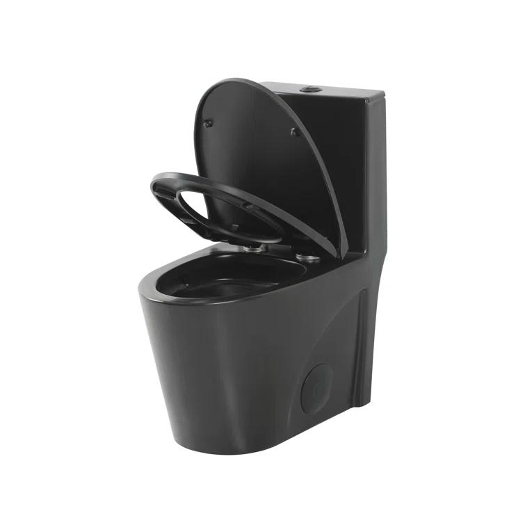 Dual-Flush Elongated One-Piece Toilet with High Efficiency Flush