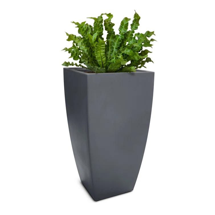 Mayne Inc. Vernamae  Resin Pot Planter With Water Reservoir