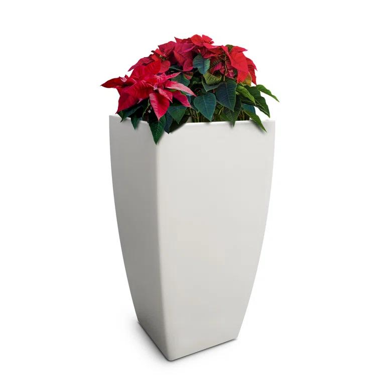 Mayne Inc. Vernamae  Resin Pot Planter With Water Reservoir