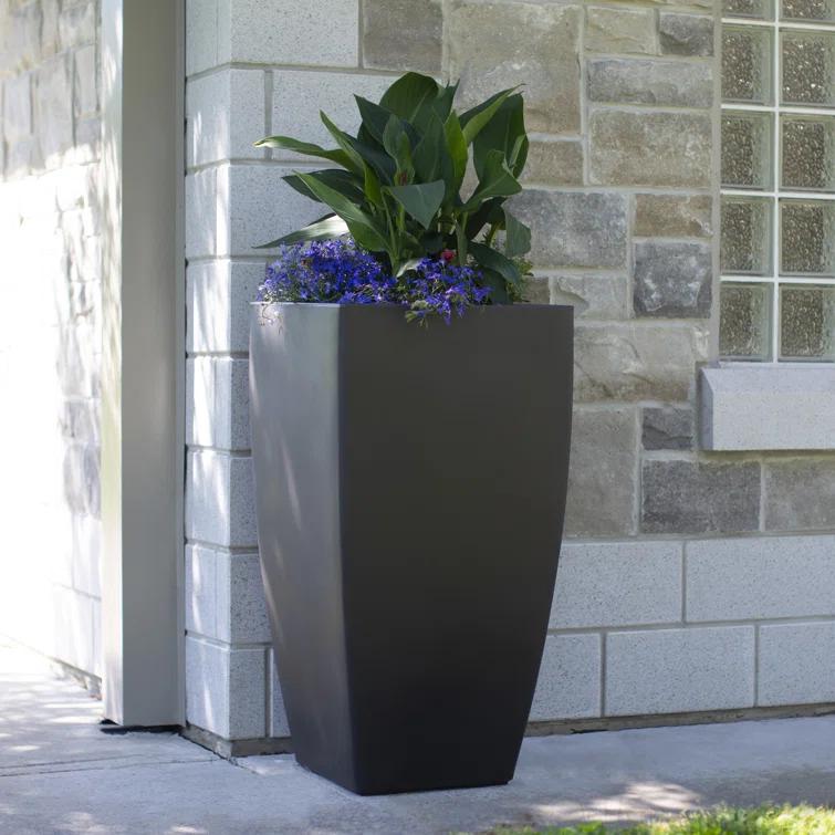 Mayne Inc. Vernamae  Resin Pot Planter With Water Reservoir