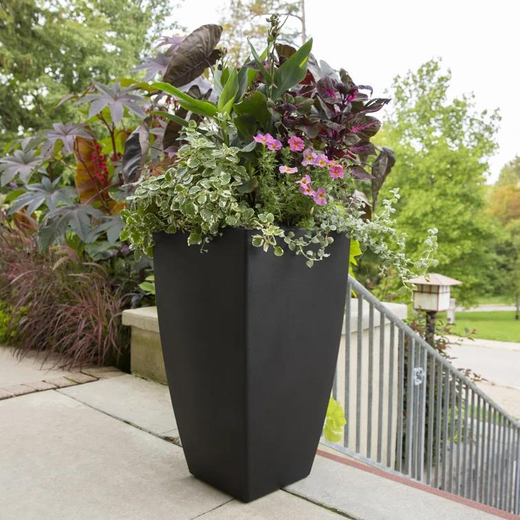 Mayne Inc. Vernamae  Resin Pot Planter With Water Reservoir