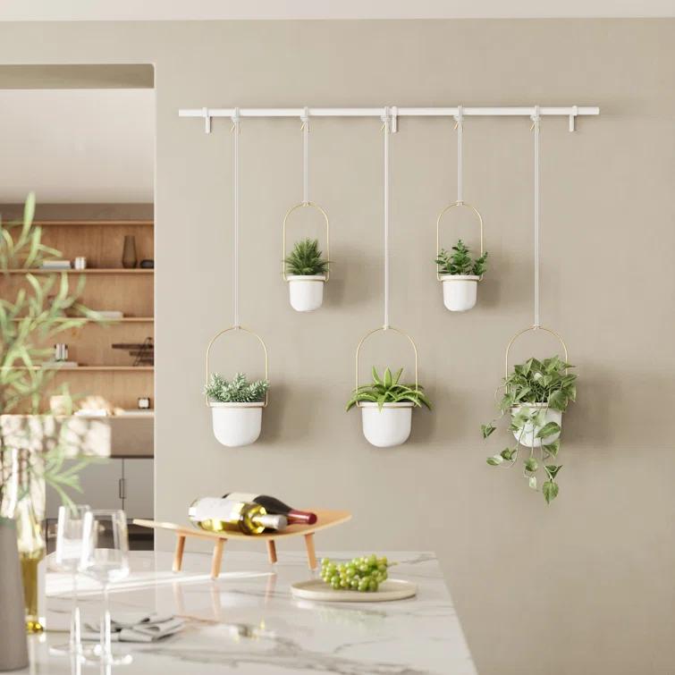 Umbra Hanging Planter