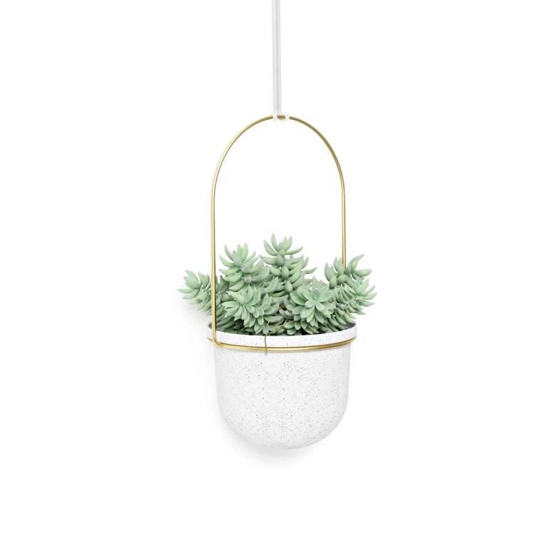 Umbra Hanging Planter