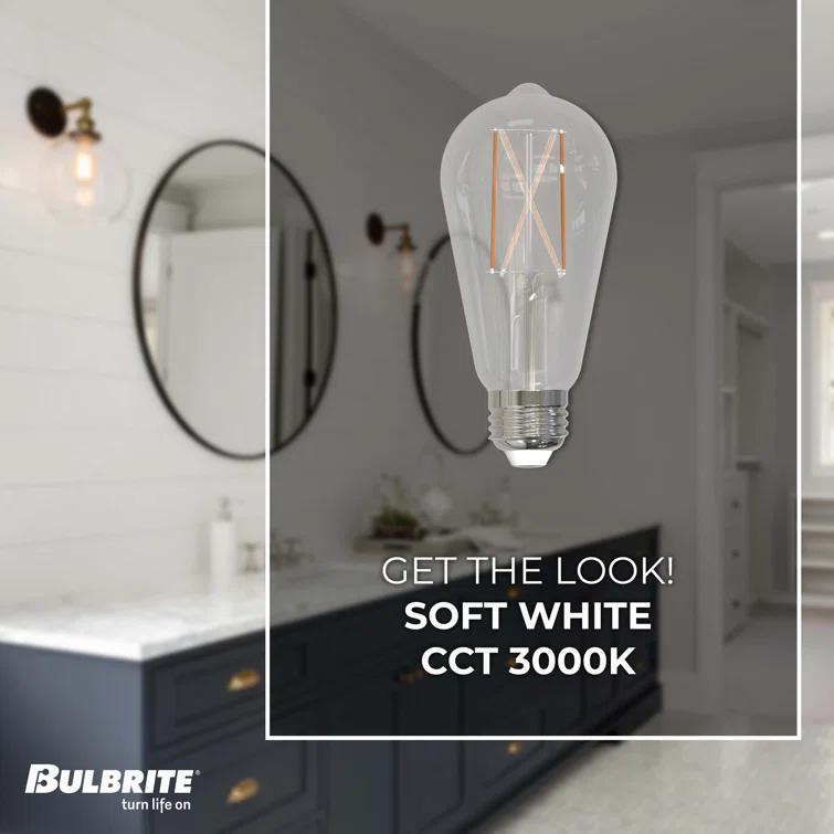 Bulbrite Industries 861424 60 Watt Equivalent ST18 E26/Medium (Standard) Dimmable 3000K LED Bulb (Set of 2)