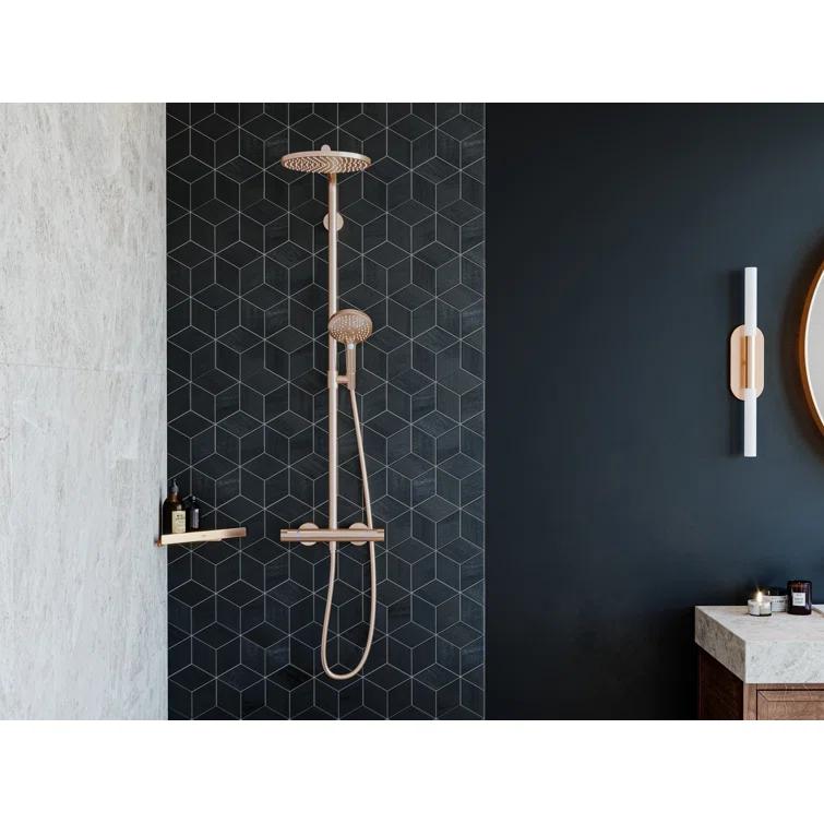 Hansgrohe AddStoris Corner Basket