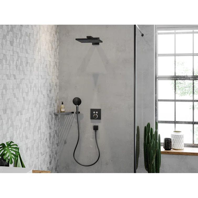 Hansgrohe AddStoris Corner Basket