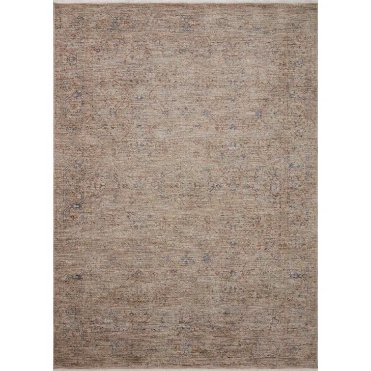 Angela Rose x Loloi Blake Taupe / Blue Area Rug