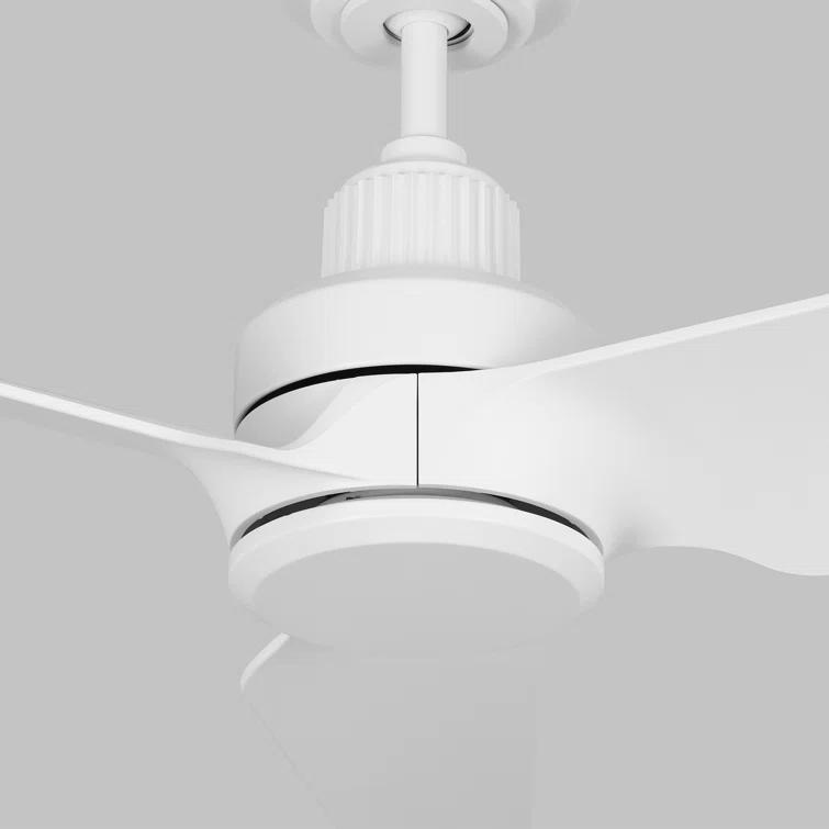 Brayden Studio® 52'' Ceiling Fan with LED Lights