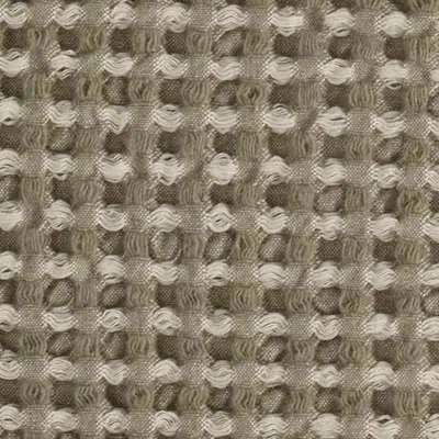 Dorothy Blanket
