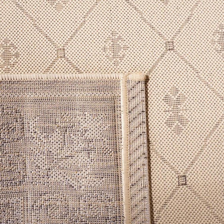 Safavieh Performance Oriental Rug