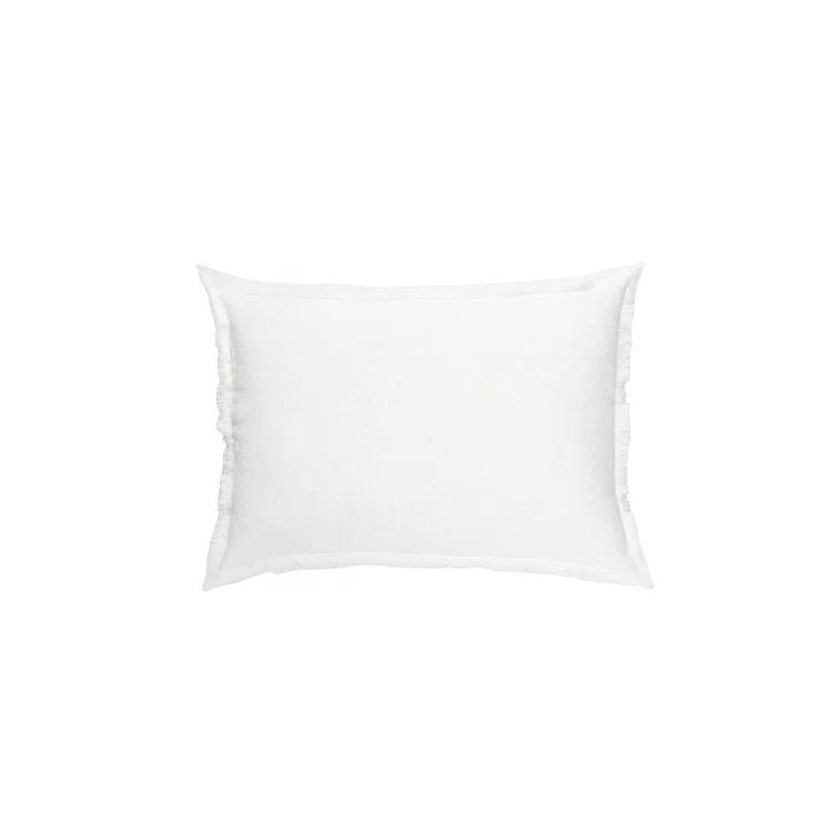 Anaya Fringed Throw Pillow