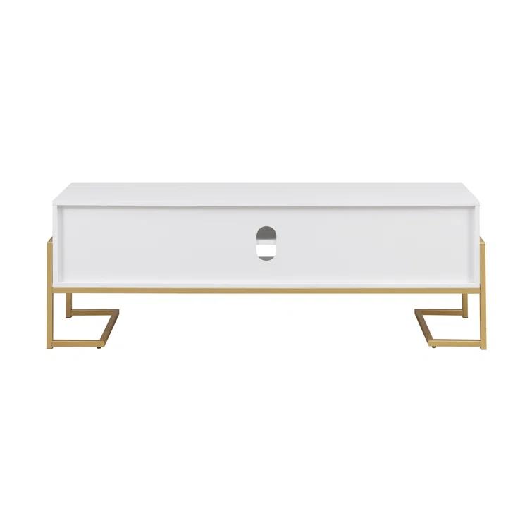 Everly Quinn 60" 2-Drawer TV Stand for TVs up to 65"