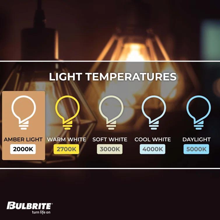 Oversized Orb Antique LED Edison Bulb, 60 Watt Equivalent, E26 Dimmable 2200K