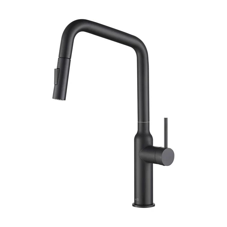 Macon Pull Down Single Handle Kitchen Faucet with Accessories