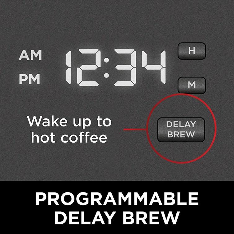 Ninja® 12-Cup Programmable Coffee Brewer, 2 Brew Styles, Adjustable Warm Plate, 60oz Water Reservoir, Delay Brew - Black/Stainless Steel