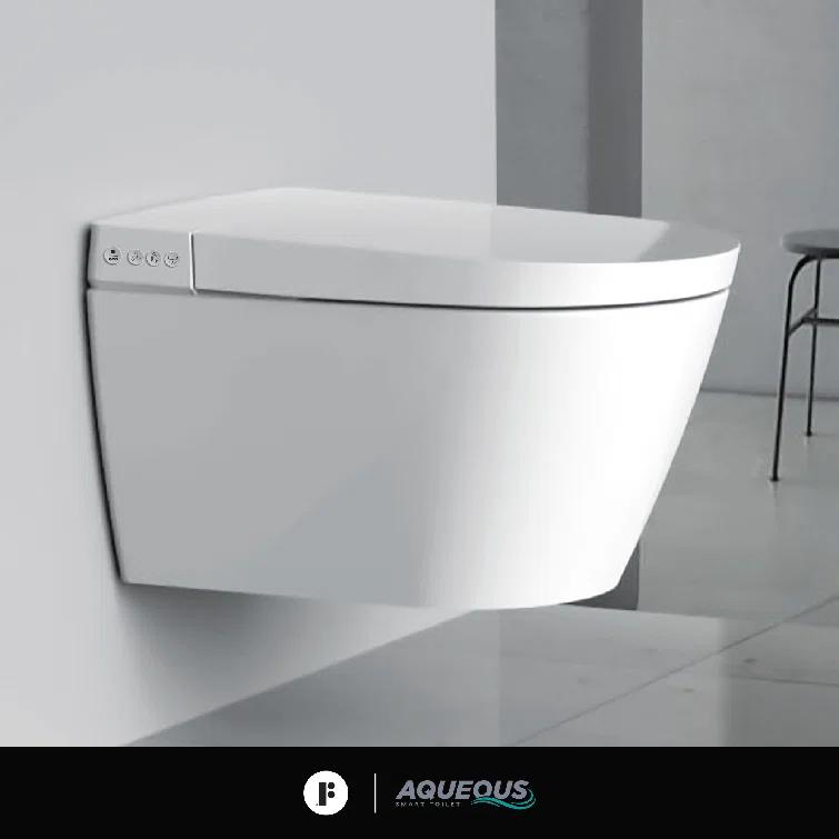 Smart Wall Mounted Toilet and Bidet