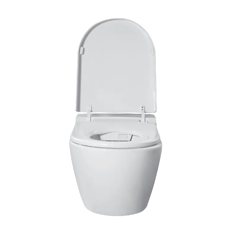 Smart Wall Mounted Toilet and Bidet