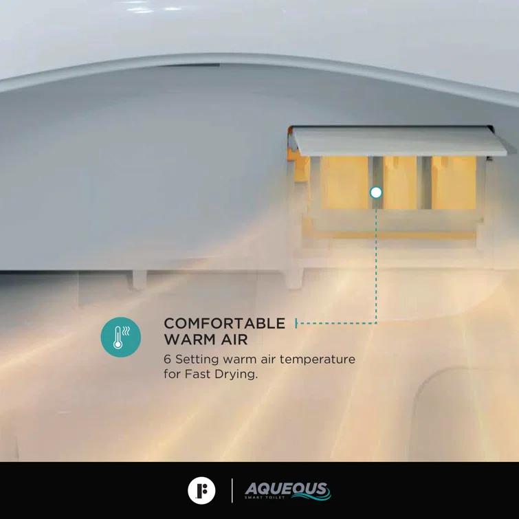 Smart Wall Mounted Toilet and Bidet