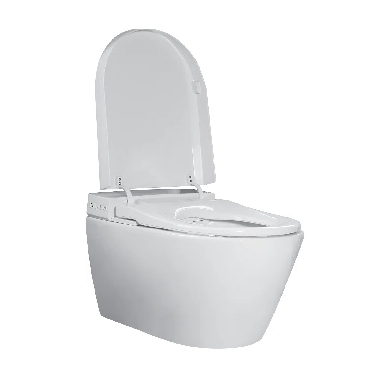 Smart Wall Mounted Toilet and Bidet